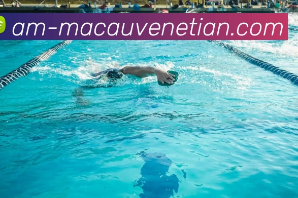 多媒体互动体验